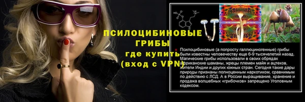 не бодяженный Алзамай