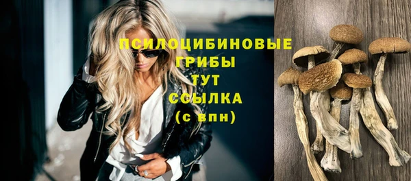 таблы Абинск