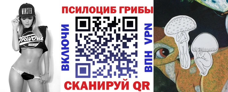 дарнет шоп  Суджа  Галлюциногенные грибы Cubensis 